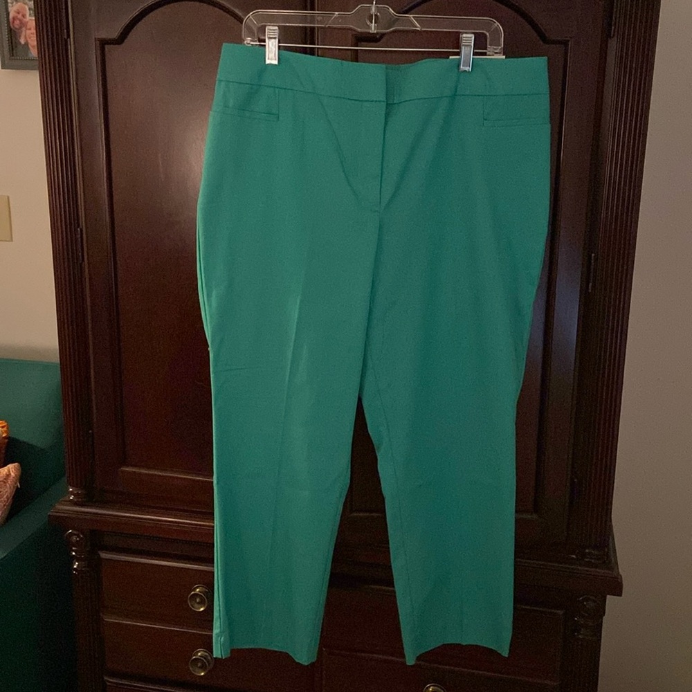 New THE CROP loft pants